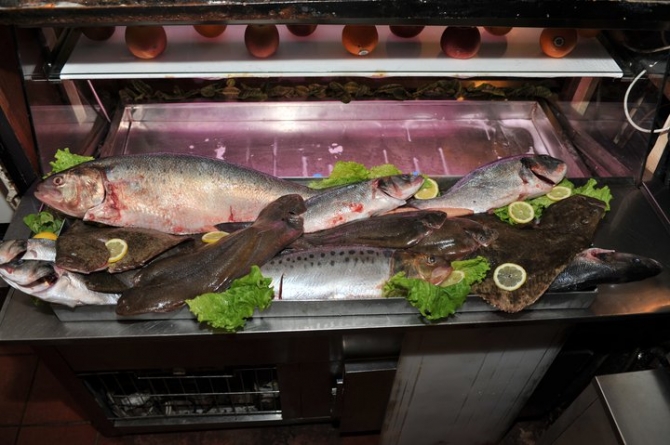 Mostruário Peixe Fresco